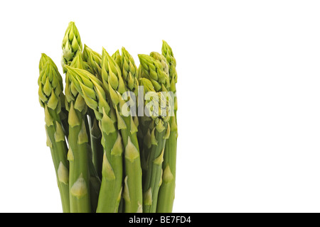 Grüner Spargel (Aspagurus) Stockfoto