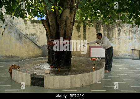 Ein Mann macht eine Opfergabe an die Götter auf einem Baum-Schrein in einem hinduistischen Tempel Janakpuri, New Delhi, Indien Stockfoto