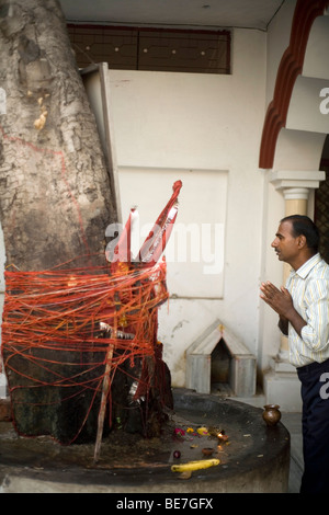 Ein Mann macht eine Opfergabe an die Götter auf einem Baum-Schrein in einem hinduistischen Tempel Janakpuri, New Delhi, Indien Stockfoto