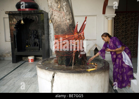 Eine Frau macht eine Opfergabe an die Götter auf einem Baum-Schrein in einem hinduistischen Tempel Janakpuri, New Delhi, Indien Stockfoto