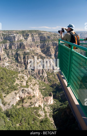 Aussichtsplattform des Copper Canyon, Mexiko Stockfoto