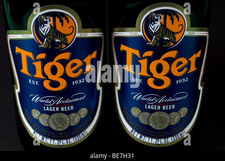 Tiger Bier in Flaschen Stockfoto