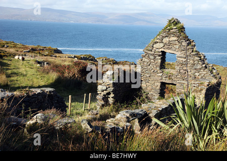 verfallenen Hütte, Beara Halbinsel, West Cork Stockfoto