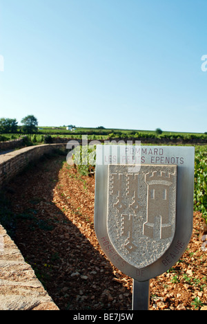 Zeichen markieren Hospices de Beaune Pommard Les Petits Epenots Weinberg, Burgund, Frankreich Stockfoto