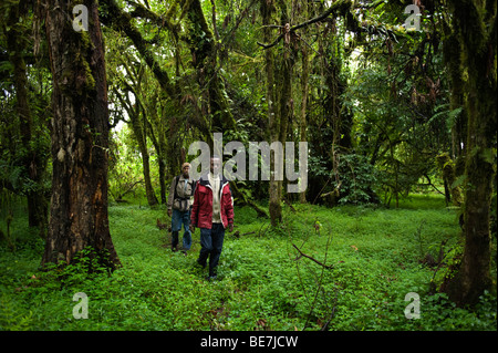 Wandern im Harenna Wald, Bale-Mountains-Nationalpark, Äthiopien Stockfoto