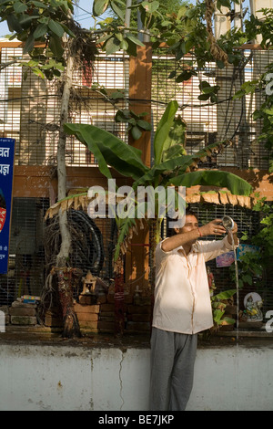 Ein Mann macht eine Opfergabe an die Götter auf einem Baum-Schrein in einem hinduistischen Tempel Janakpuri, New Delhi, Indien Stockfoto