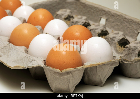 Weiße und braune Bio-Eiern in einem Papierkarton. Stockfoto