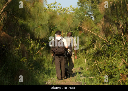 geführte Wanderung im Bigodi Wetland Heiligtum Stockfoto