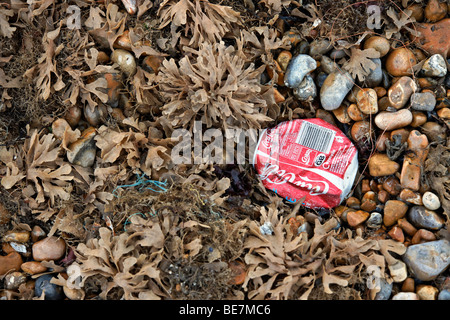 Eine ausrangierte Coladose an einem Algen- und Kiesstrand überdachten Strand Stockfoto