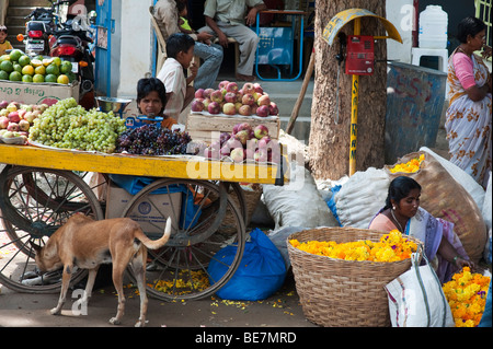 Indische Frauen verkaufen Obst und Blumen von Körben und Karren in einem indischen Markt. Puttaparthi, Andhra Pradesh, Indien Stockfoto