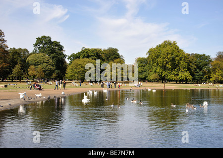 Die lange Wasser, Kensington Gardens, Kensington, London Borough of Kensington und Chelsea, London, England, Vereinigtes Königreich Stockfoto