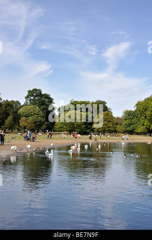 Die lange Wasser, Kensington Gardens, Kensington, London Borough of Kensington und Chelsea, London, England, Vereinigtes Königreich Stockfoto