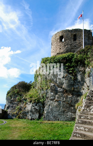 Handwerksarbeiten Burg mit Blick auf die Flussmündung Fowey in Cornwall, Großbritannien Stockfoto