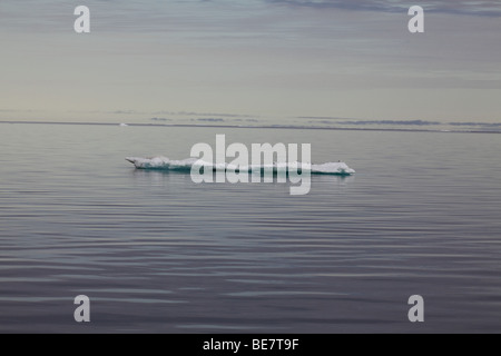 Eis driftet im ruhigen arktischen Ozean vor der Küste von Svalbard Stockfoto