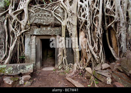 Kultige Blick auf Ta Prohm in Angkor Wat Komplex, Kambodscha Stockfoto