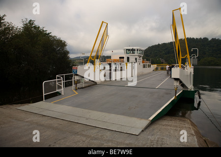 Die Stockente, die Fähre, der Lake Windermere durchquert Stockfoto