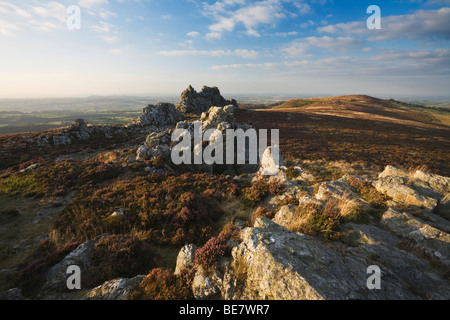 Des Teufels Stuhl, ein Quarzit-Tor auf Stiperstones. Shropshire. England. VEREINIGTES KÖNIGREICH. Stockfoto