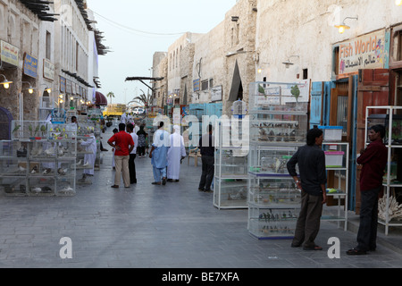 Ein anstrengenden Abend im Pet-Markt die Bestandteil des Emirats Katar Souq Waqif, im September 2009. Stockfoto