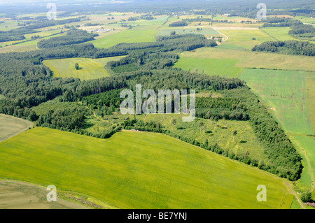 Wald - Ackerland Landschaftsmosaik in Nordlettland Stockfoto