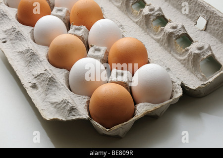 Weiße und braune Bio-Eiern in einem Papierkarton. Stockfoto