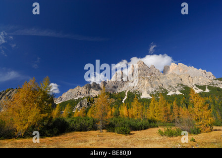 Cristallo Bereich oberhalb Lärchen in Herbstfarben, Dolomiten, Südtirol, Italien Stockfoto