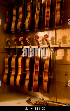 Nahaufnahme von Geigen, Workshop von Bruce Carlson, Geigenbauer, Cremona, Lombardei, Italien Stockfoto