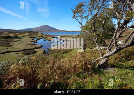 Berges Slievemore auf Achill Island vom Festland in der Grafschaft Mayo genommen Stockfoto