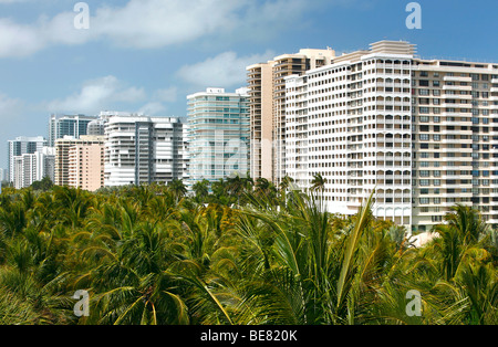 Mehrfamilienhäuser hinter Palm trees, Eigentumswohnung Türme, Surfside, Miami Beach, Florida, USA Stockfoto