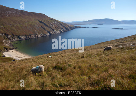 Der Strand von Keem Strang auf Achill Island im County Mayo in Irland Stockfoto