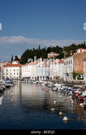 Boote in der Marina in der Küstenstadt Stadt Piran im südlichen Slowenien Stockfoto