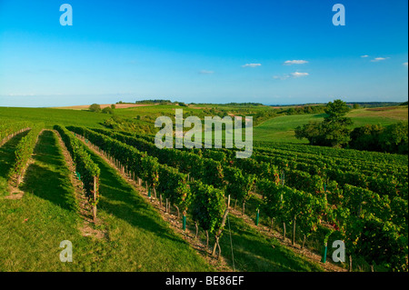 HAUTES-CÔTES DE BEAUNE, WEINBERGE IN BURGUND, FRANKREICH Stockfoto
