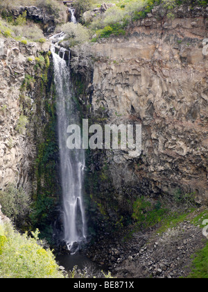 Israel, Golan-Höhen, Gamla Wasserfall Naturschutzgebiet. Stockfoto
