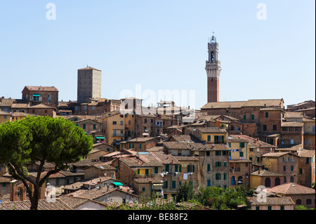 Blick über die Altstadt in Richtung Torre del Mangia auf der Palazzo Publico, Siena, Toskana, Italien Stockfoto