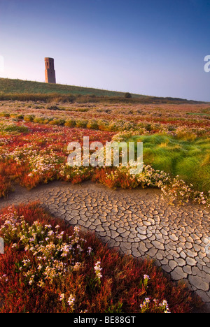 Koudekerkse Inlaag in Najaar; Koudekerkse Inlaag im september Stockfoto