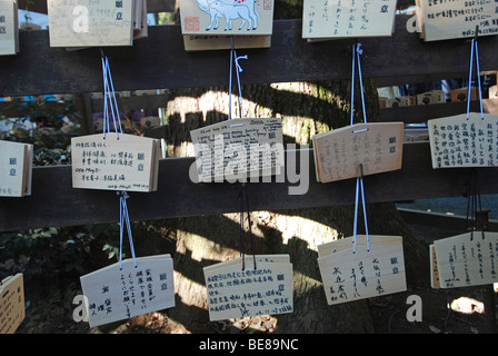 JAPAN Honshu Tokio Jingumae - Meijijingu Schrein Ema hölzernen Karten mit New Years Resolutionen und Wünsche darauf geschrieben Stockfoto