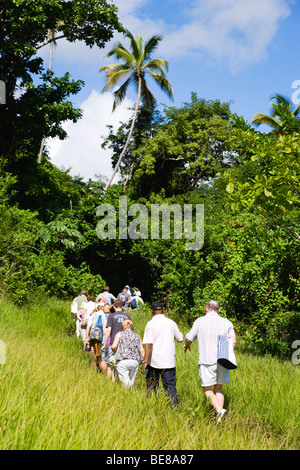 WEST INDIES Karibik Grenadinen Grenada St Andrew Kreuzfahrt Schiff Touristen Wandern Sie durch Gräser, Royal Mount Carmel Wasserfall. Stockfoto