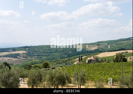 Weinberge in der Landschaft außerhalb der Ortschaft Castellina in Chianti, Toskana, Italien Stockfoto