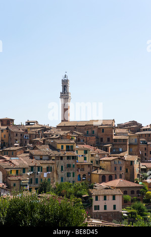 Blick über die Altstadt in Richtung Torre del Mangia auf der Palazzo Publico, Siena, Toskana, Italien Stockfoto