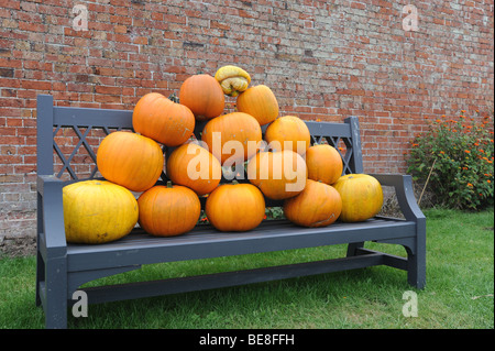 Kürbisse auf Gartenbank Stockfoto