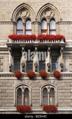Blumenkästen mit roten Geranien an der Fassade des Rathauses, Wien, Österreich, Europa Stockfoto