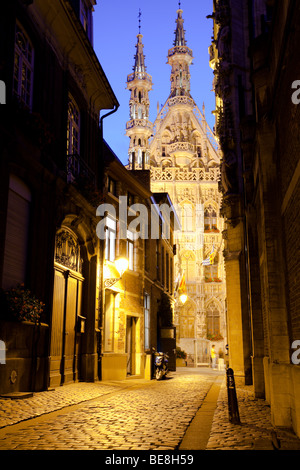 Leuven-Rathaus Stockfoto