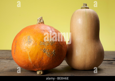 Hokkaido und Butternut Kürbis Stockfoto