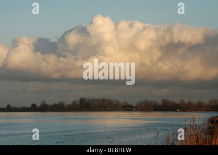 Zicht auf Het Nijkerkernauw traf Cumuluswolk in Laat Middaglicht; Blick über die Nijkerkernauw, späten Nachmittag Licht Stockfoto