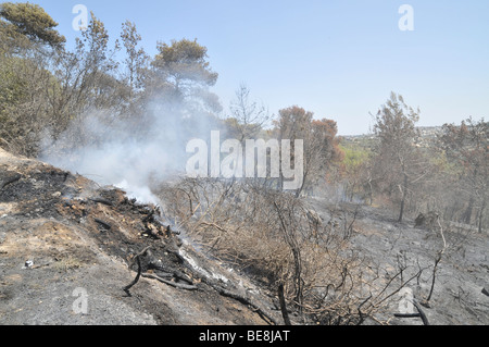 Israel, Carmel Berg, Shekef Wald, Feuerwehrleute löschen einen Waldbrand begann durch Brandstiftung 12. September 2009 Stockfoto