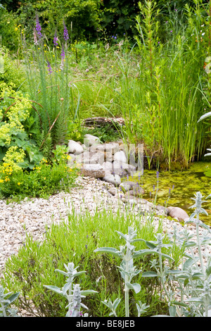 Eine Ecke des Gartens Wildlife freundlich in den Zweigen Gärten in Swindon, Wiltshire, England, UK Stockfoto