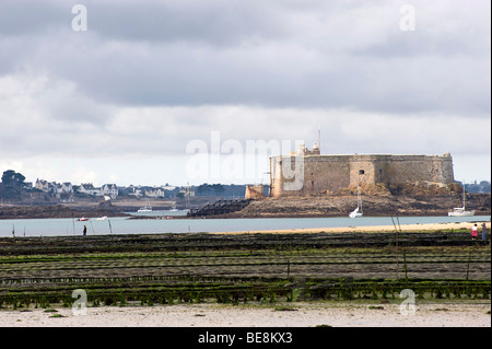 Austernbänke und die Château du Taureau in der Bucht von Morlaix, Finistère, Bretagne, Frankreich, Europa Stockfoto