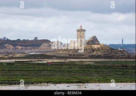 Austernbänke in der Bucht von Morlaix mit dem Leuchtturm auf Ile Noire, Bretagne, Finistere, Frankreich Stockfoto