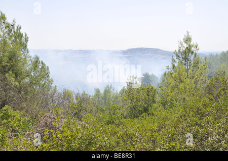 Israel, Carmel Berg, Shekef Wald, Feuerwehrleute löschen einen Waldbrand begann durch Brandstiftung 12. September 2009 Stockfoto