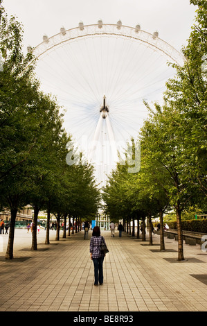 Eine weibliche Touristen stehen in eine Allee von Bäumen nach oben auf das London Eye.  Foto von Gordon Scammell Stockfoto