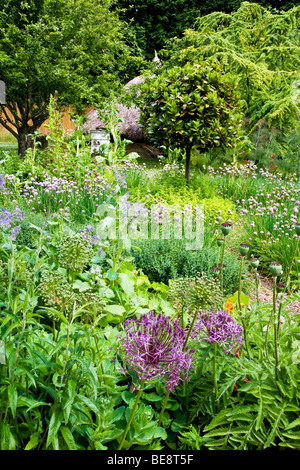 Eine Ecke des Gartens Potager an den Zweigen Gärten in Swindon, Wiltshire, England, UK Stockfoto